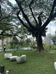 Irwell Hill Residences (D9), Apartment #464103351